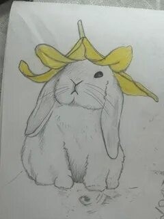  в LOOKY — 🐰🍌🐰🍌🐰🍌