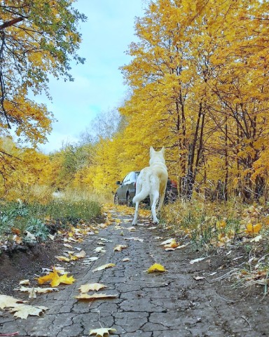 Mar.Vil_foto в LOOKY. . 