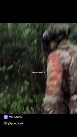 Сахарный Медвежонок в LOOKY — публикация