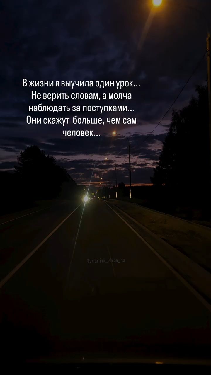 akita_inu__shiba_inu в LOOKY — публикация