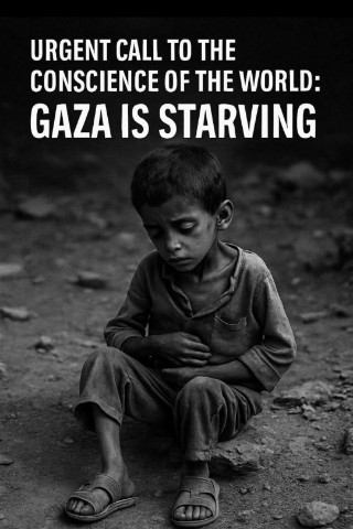 Tareq в LOOKY. #Palestine,#humanrights,#gaza. Every day we fight t...