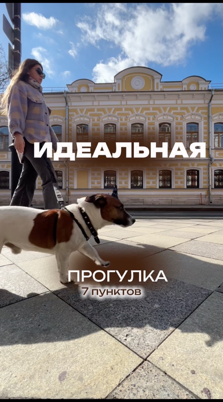 Собака Бэтмен в LOOKY. #263835222,#232785020. 7 пункт не делают 99...