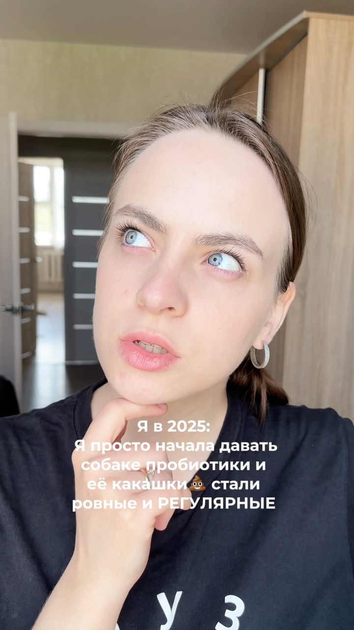 На связи лабрадор Бен-Бен в LOOKY. #232465954,#собака,#собакадругчеловека,#любовь,#малыш,#питомец,#пробиотики. Почему вы не сказали...