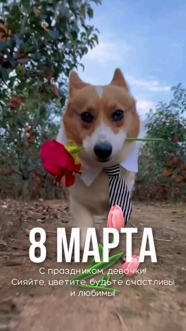 Looky_1707749752729 в LOOKY. . Дорогие прекрасные д...