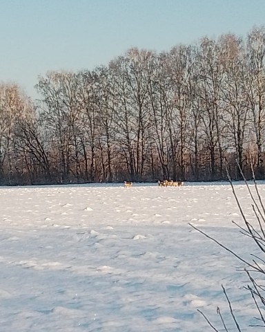 Человек in LOOKY. . Там спая касуль