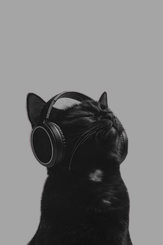 ATMOSPHERE_ESTHETICS в LOOKY. . 🖤