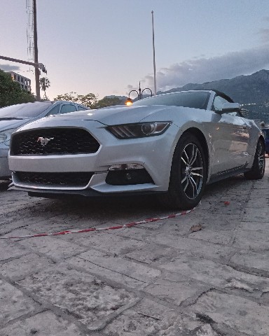 Саша Савић в LOOKY. . What a beauty 🤩