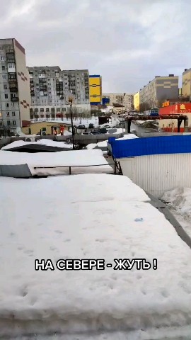 denchik_pankov в LOOKY. . 