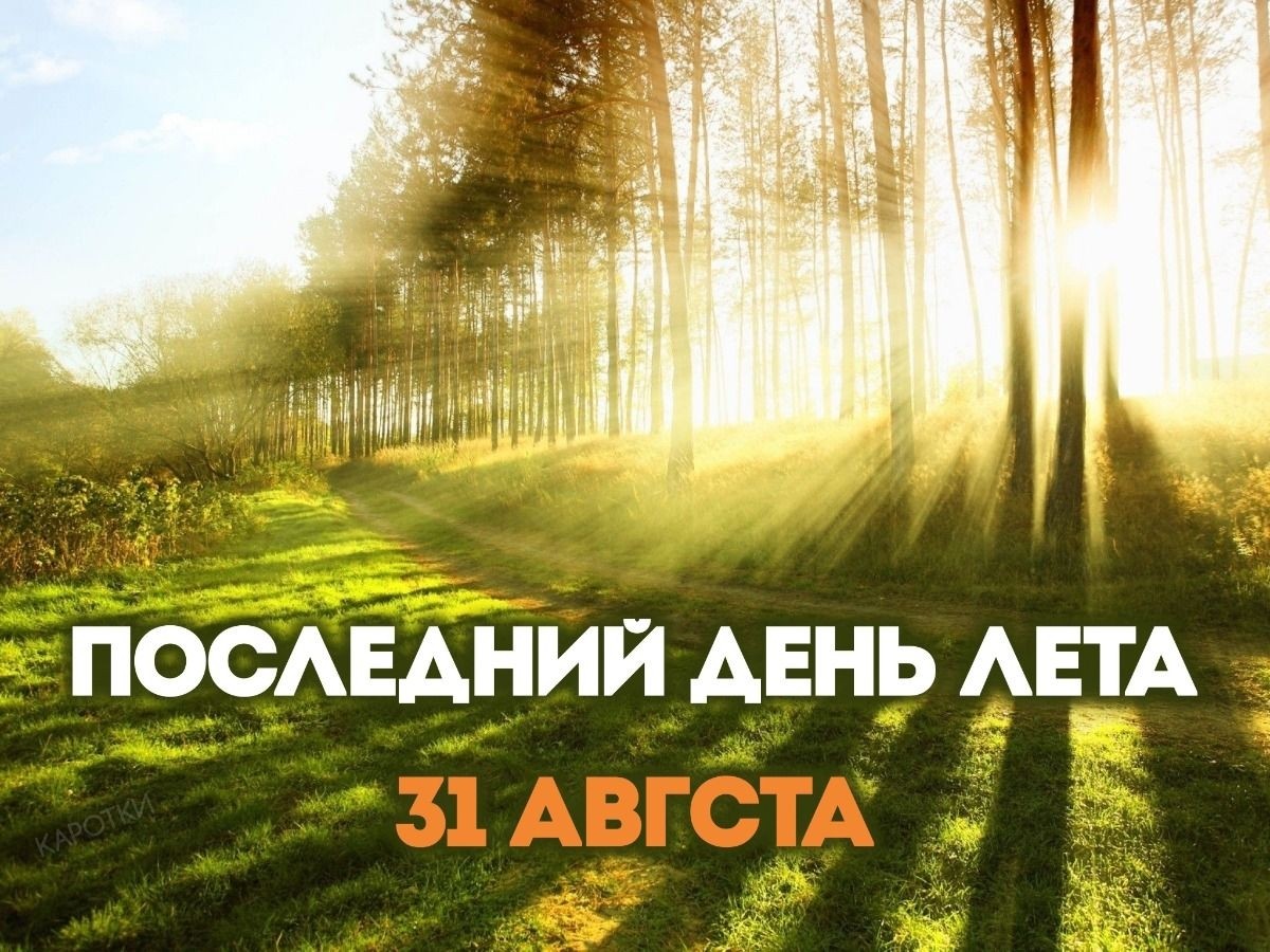 Досвидания лето... 🌞🍓🍒🌼💮🌸🍀☘️