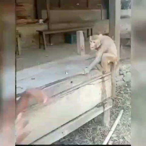 syncexyz в LOOKY. #meme. 🐒, : 🗿 zzz

[#funn...