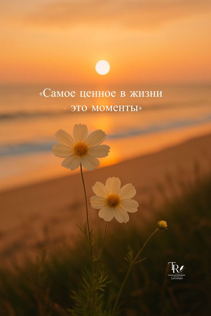 Npuha179 в LOOKY — публикация