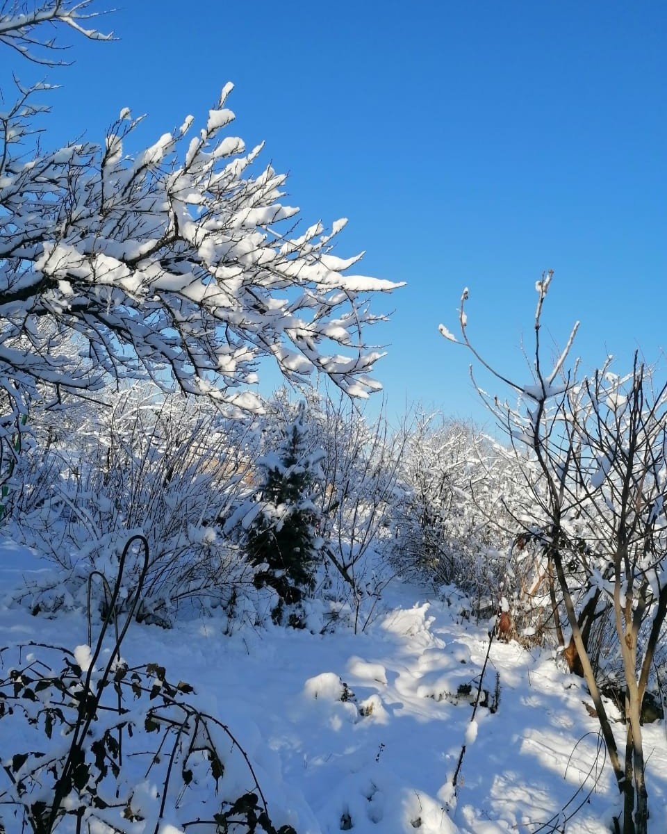 Как в сказке😍❄☃️ #зима [#зимняясказка](зимняясказка) #красота #февраль2024