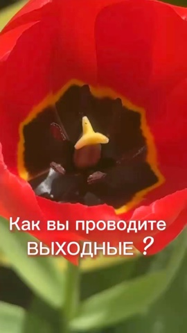 nataliya_tarasova_ в LOOKY. #майские_луки. Хоть погода удалась....