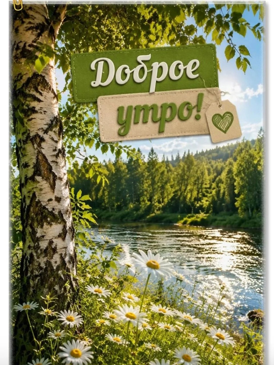 Сириус в LOOKY — публикация