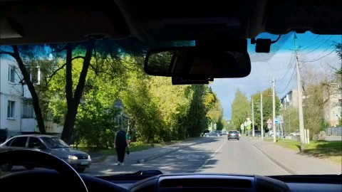 Дмитрий Мосин в LOOKY — ⚠️Опасная Нарушительская кошка резко выскочила из-за поворот
