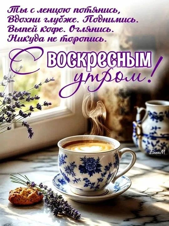 Сириус в LOOKY — публикация