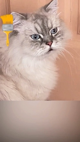 taik19.12.19 в LOOKY. . Новый год — новая ст...