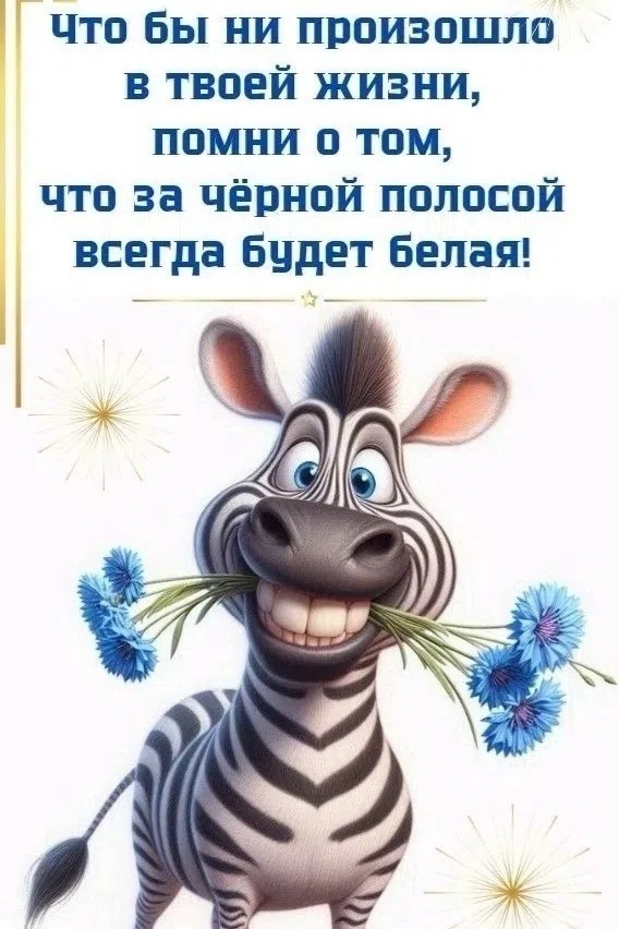  в LOOKY — публикация