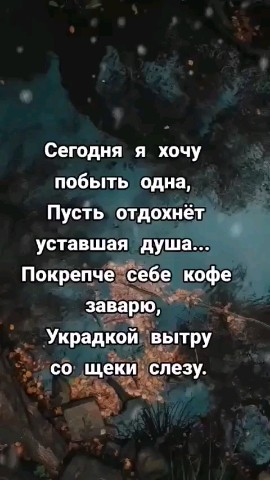 ВОЛК СЕРЫЙ в LOOKY — публикация