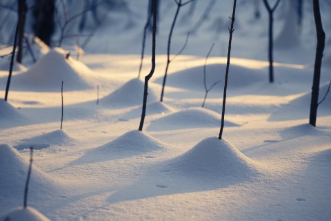 poboruev_landscape в LOOKY. . Как-то на днях попал...