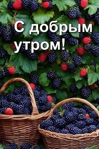 Корнева Марина в LOOKY. . 