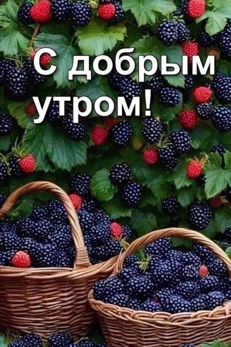 Корнева Марина in LOOKY. . 