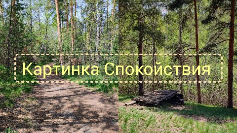 Irina_Sayanova в LOOKY. #авторская_техника,#коуч,#коучинг,#техника. Хочу поделиться с то...