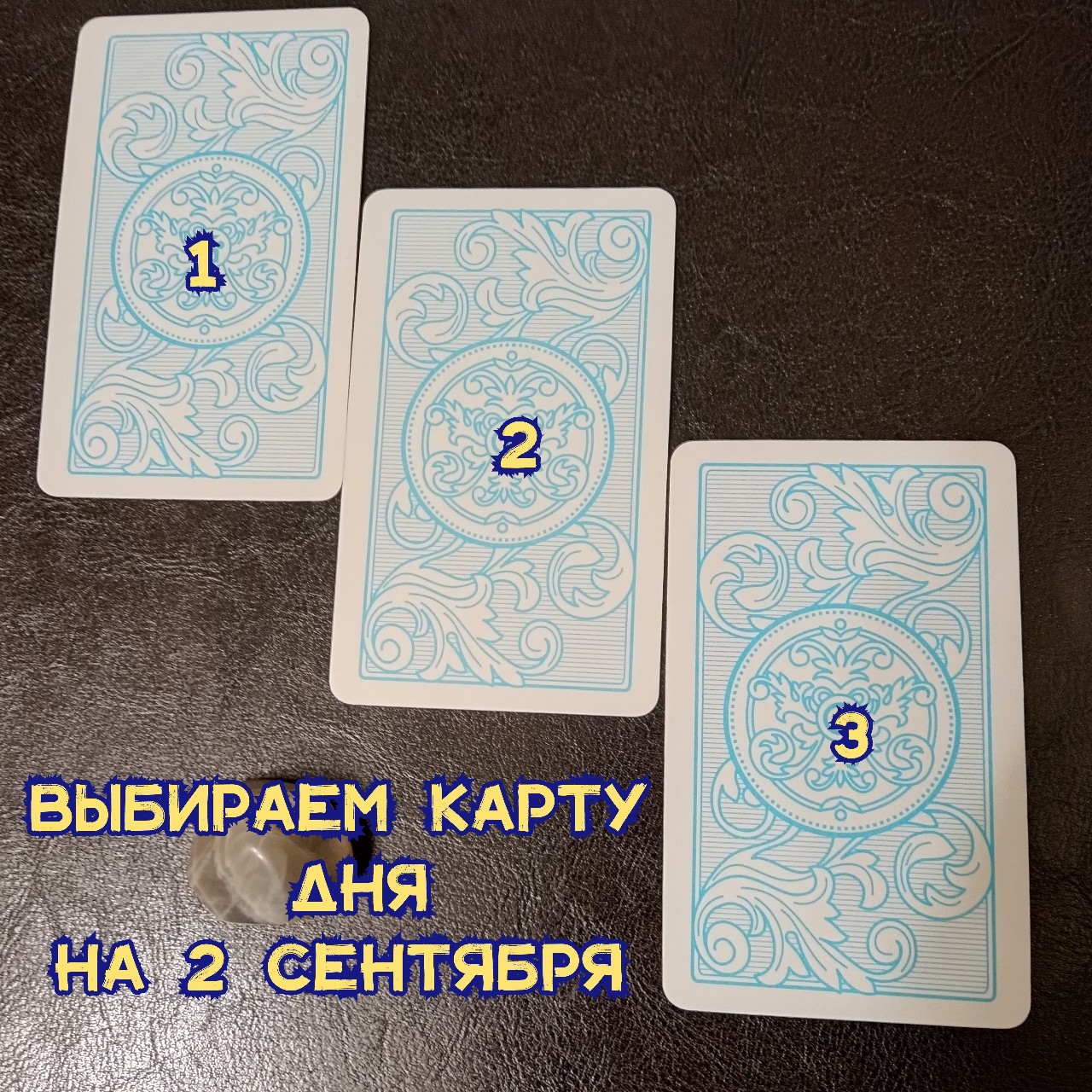 Marina_m_taro