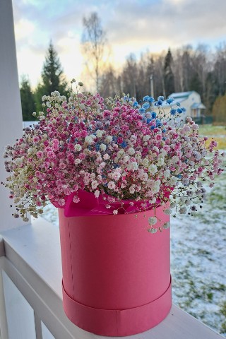 Larisa K. в LOOKY. #цветы,#букет. Нежность
#цветы
#бук...