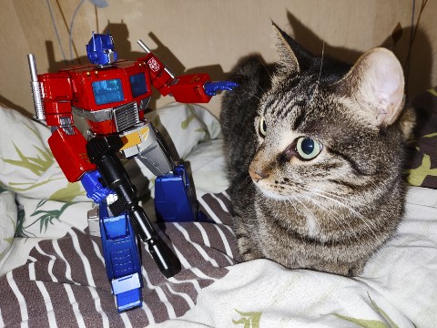 fezcake в LOOKY. #Трансформеры,#ОптимусПрайм,#Transformers,#OptimusPrime. Первый контакт

#Тра...