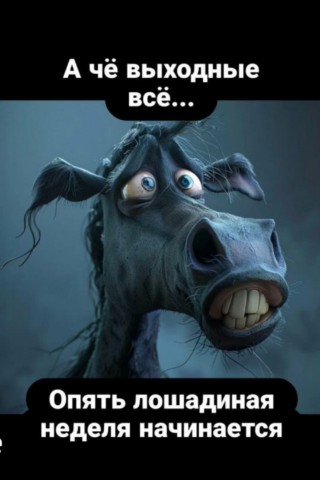 iri7254 в LOOKY. . 
