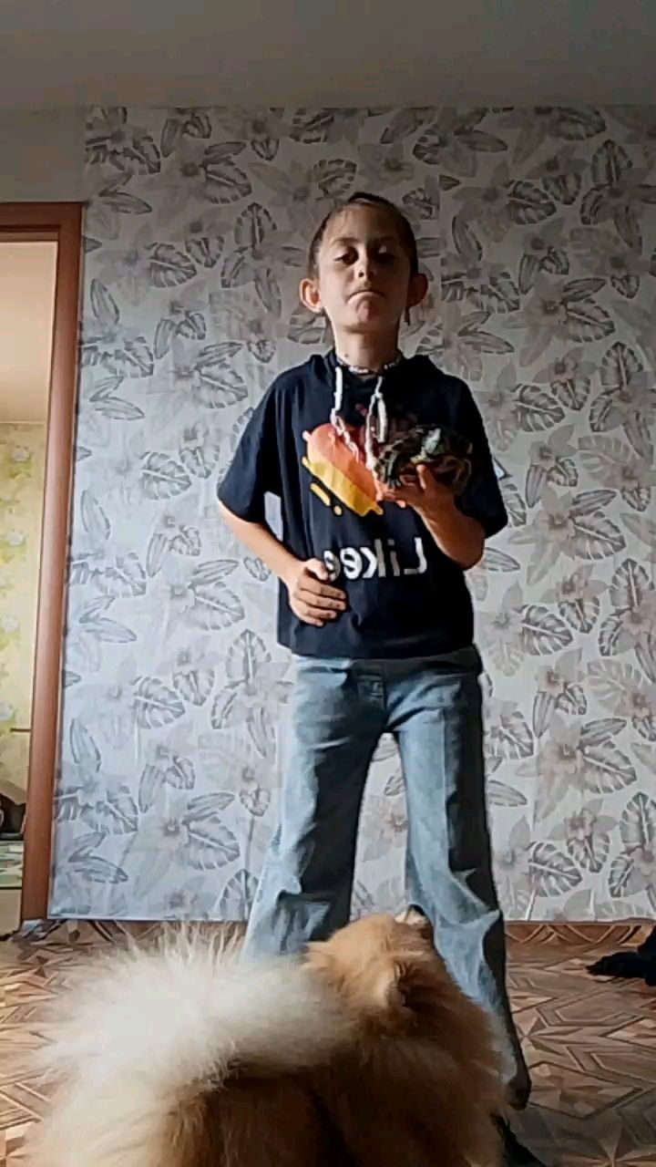 Луна  ._. в LOOKY — Черепашка раф 😘