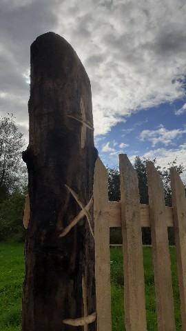 Дмитрий Бахарев в LOOKY. #Средилесье. #Средилесье