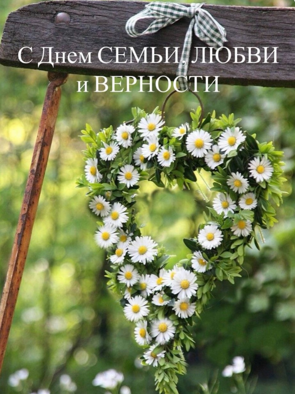 OZ0808 в LOOKY — С праздником, с днём семью, любви и верности и мою любимую д