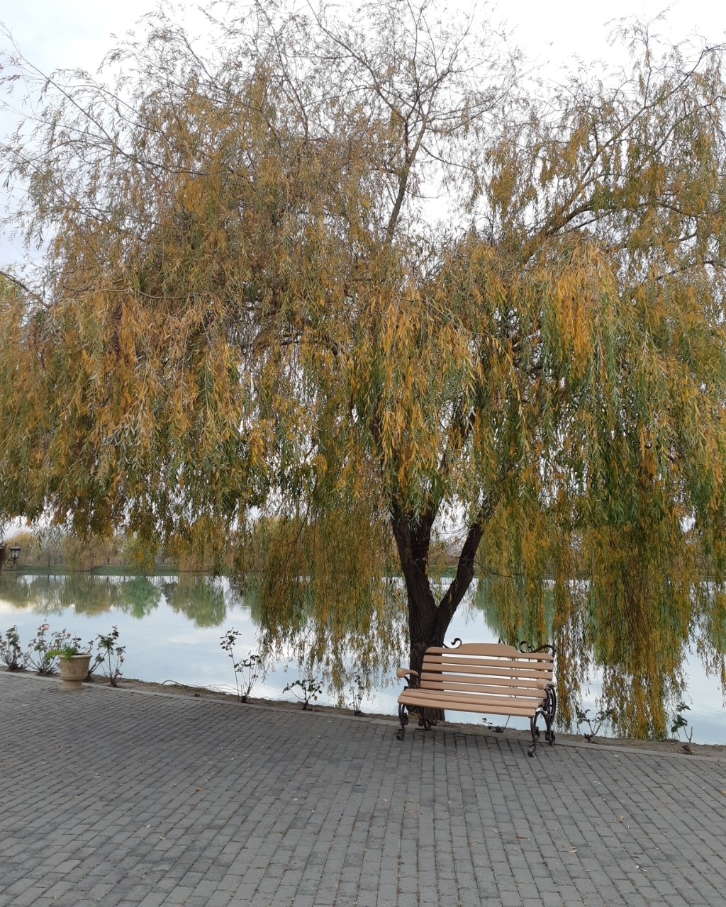 ekaterina-d