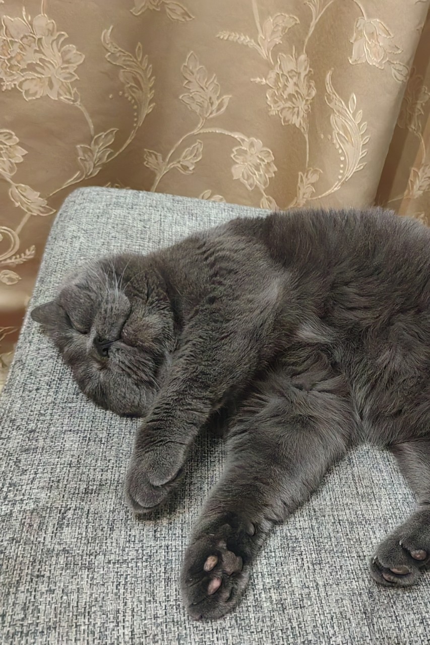 Дизюшик поймал дзен 😘😍