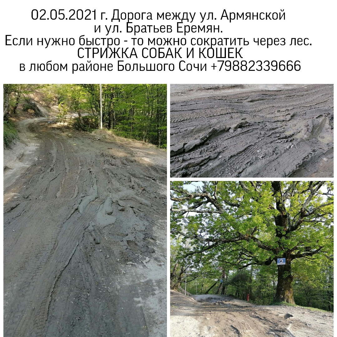 IrinaShimanskayaSochi в LOOKY — Моя Малая Родина - моё вдохновение. 
Между работами. Места р