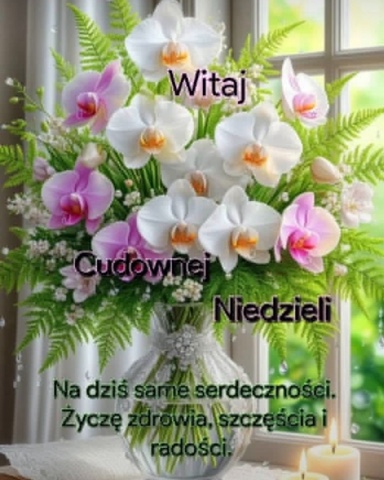 ham_mm в LOOKY. . 