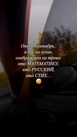 ВОЛК СЕРЫЙ в LOOKY — публикация