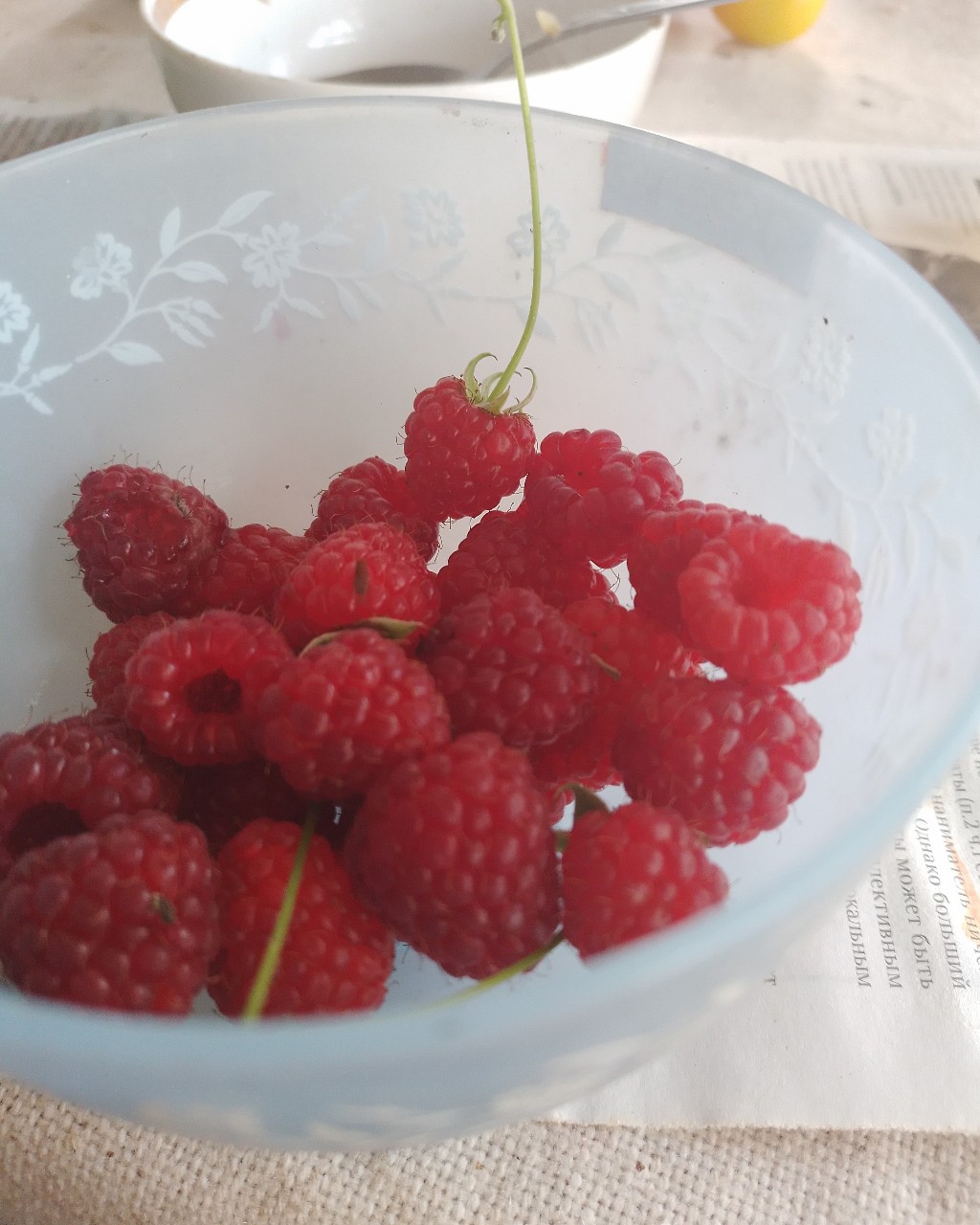 Mutant9 in LOOKY. #малина,#малинка. [#raspberry](raspber...