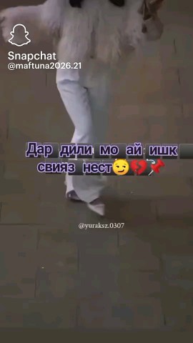asabi4a_2009 в LOOKY. . 