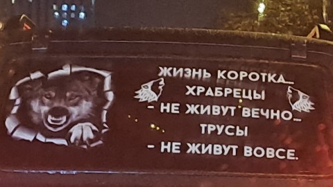 Камол в LOOKY. #1. #1