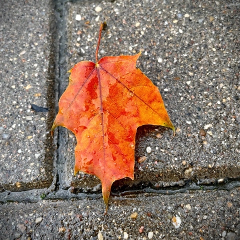 Glebeshnik в LOOKY. . [#mobilephotography]...