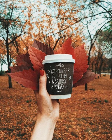 Инна Карпова в LOOKY. #осень. 🍁 Хорошее настроени...