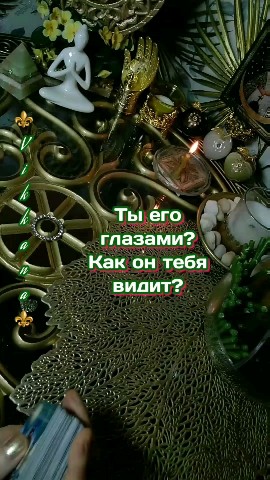 Looky_1675712114175 в LOOKY. . Ты его глазами?#гада...