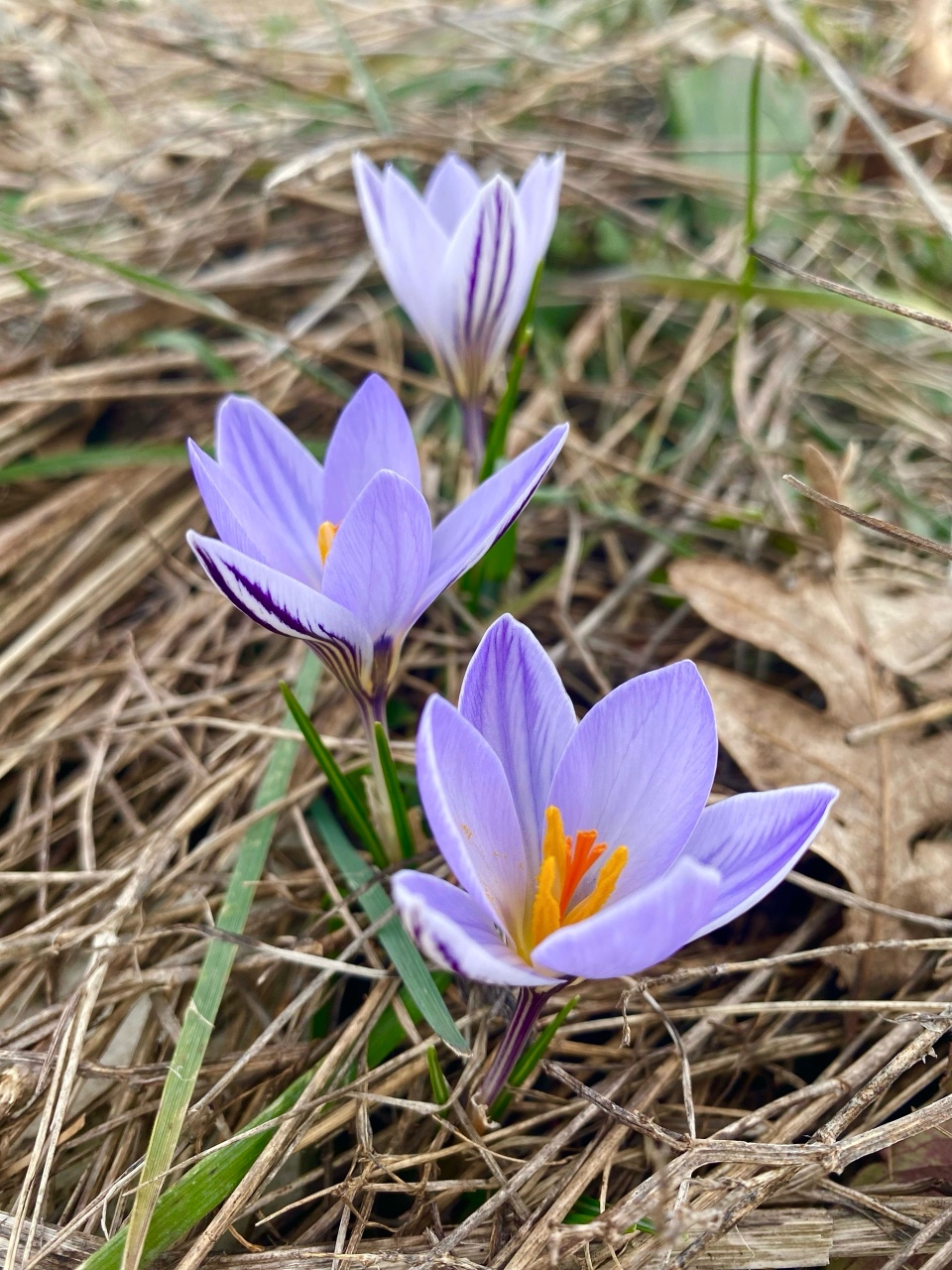 nina_melekhova in LOOKY. #золотороссии,#геленджик,#горы,#looky,#looky_you,#looky_топ
#looky_контент,#looky_блогер,#looky_рекомендации
#looky_official,#looky_top,#looky_пост
#nina_melekhova,#nina_neiro,#март,#море,#небо,#закат,#100днейдолета,#скоровесна,#первоцветы. Всем добрейшего весе...