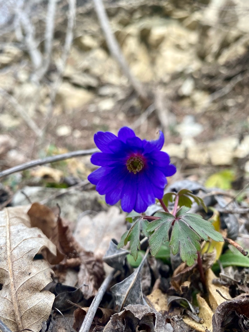 nina_melekhova в LOOKY — фото 7
