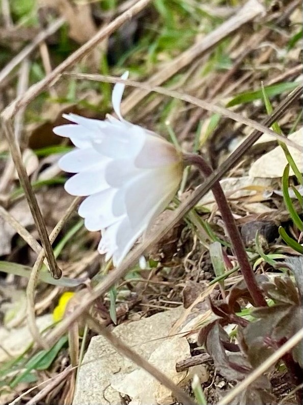 nina_melekhova в LOOKY — фото 6