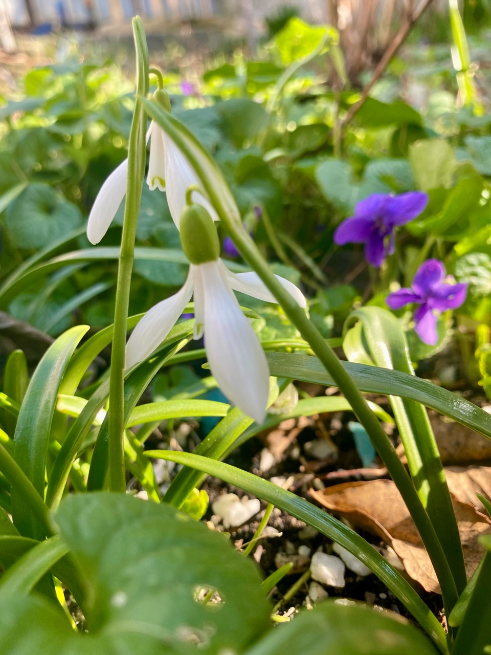 nina_melekhova в LOOKY — фото 8