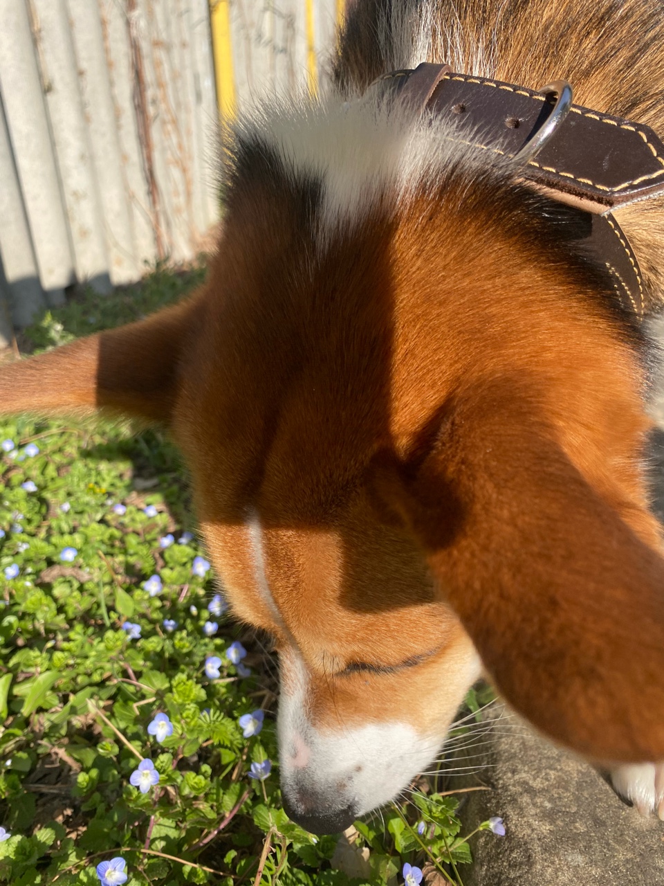 nina_melekhova в LOOKY — фото 2